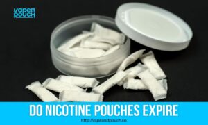 Do Nicotine Pouches Expire?
