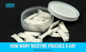 How Many Nicotine Pouches a Day?