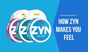How ZYN Makes You Feel?