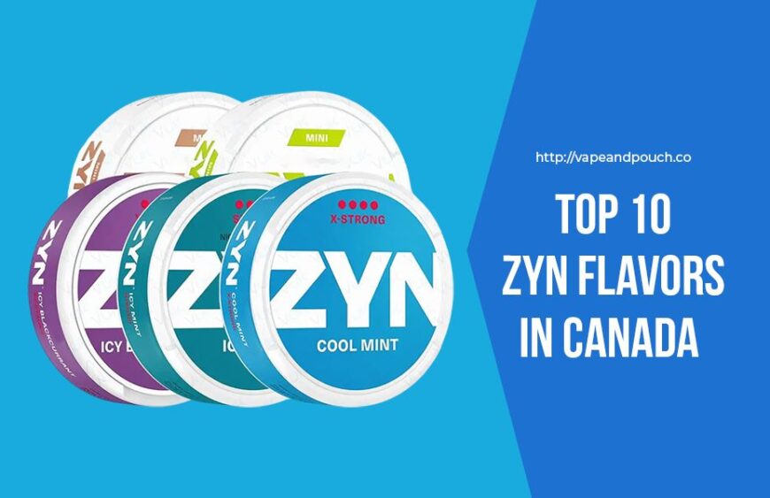 Top 10 ZYN Flavors in Canada