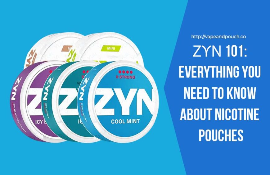 zyn 1o1